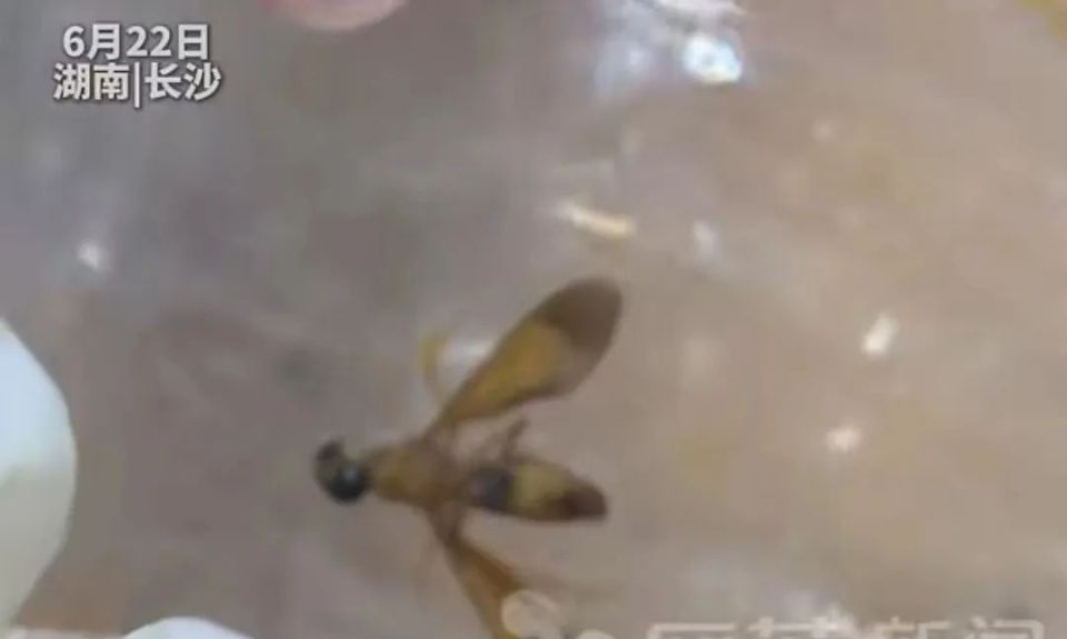 _【外卖】_外卖小哥蹦蹦跳跳