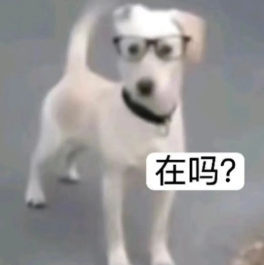 曾靠售卖写真集赚的盆满钵满，女主播清凉穿搭引来路人搭讪，网友调侃20元就想加主播？？