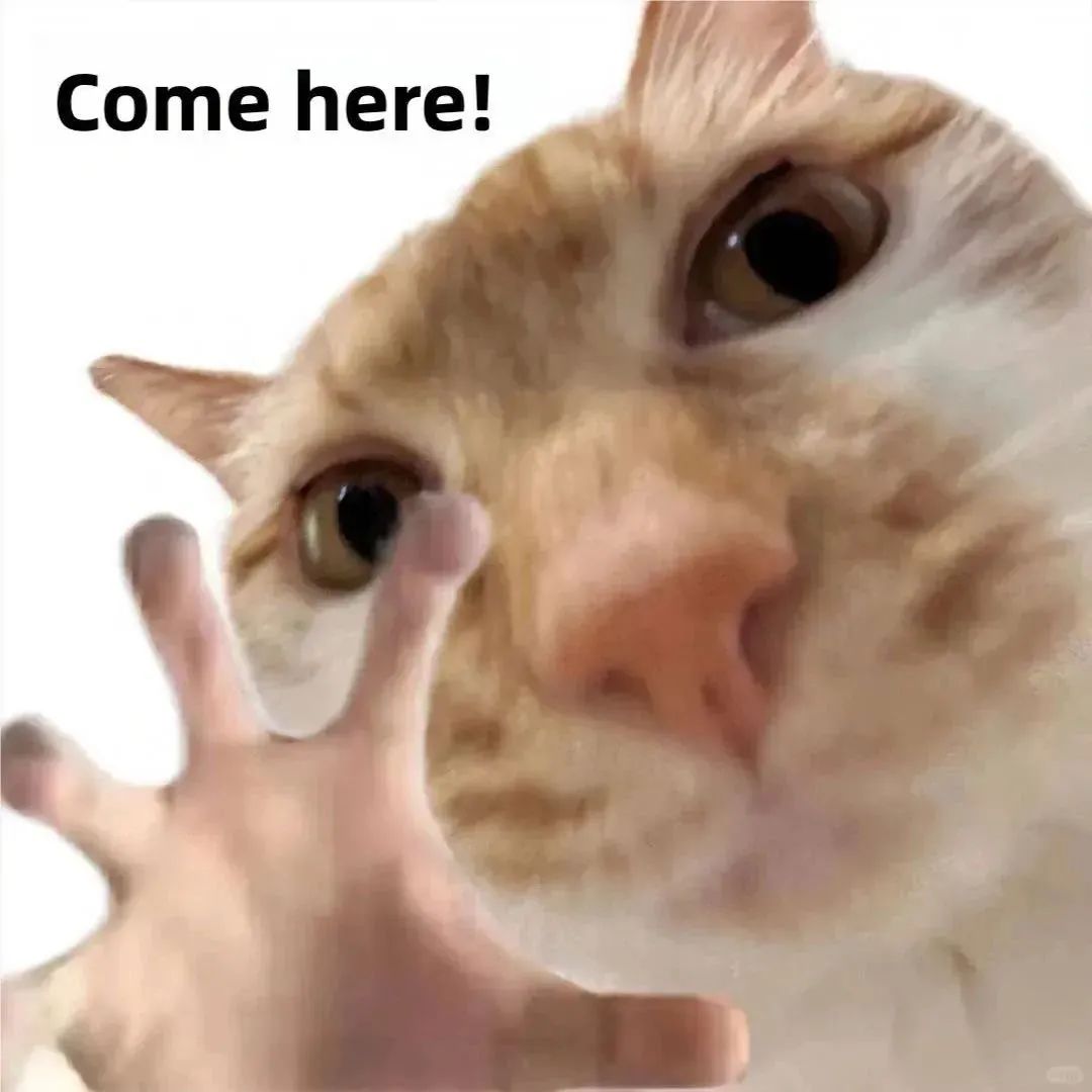 曾靠售卖写真集赚的盆满钵满，女主播清凉穿搭引来路人搭讪，网友调侃20元就想加主播？？