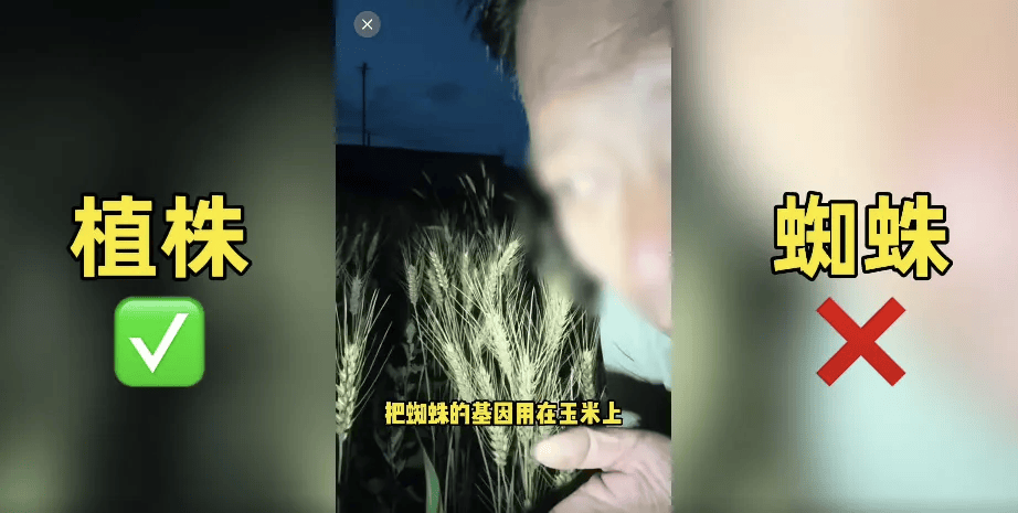 200万网红造谣袁隆平:杂交水稻害人?